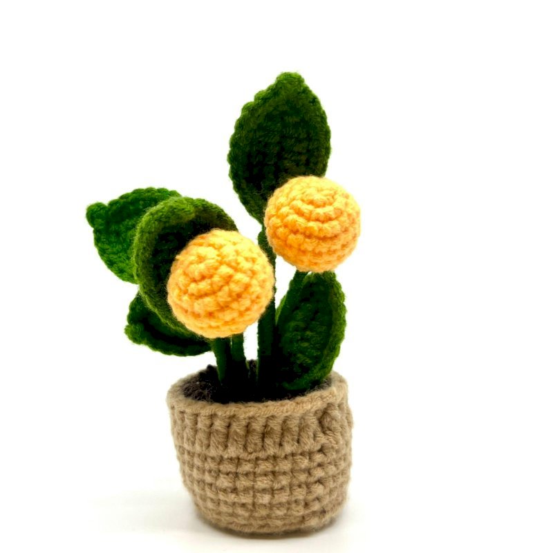 CROCHET FLOWER POT