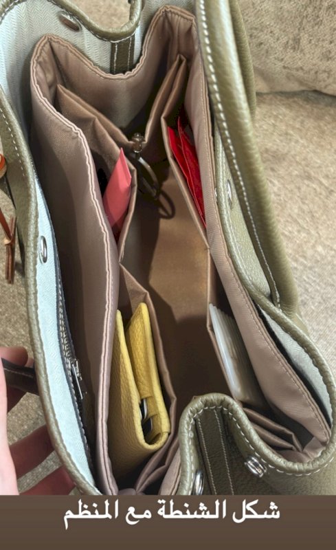 Bag Organizer for (G2 bag)