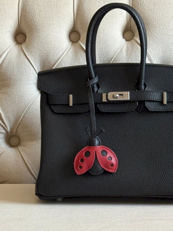 Ladybug charm