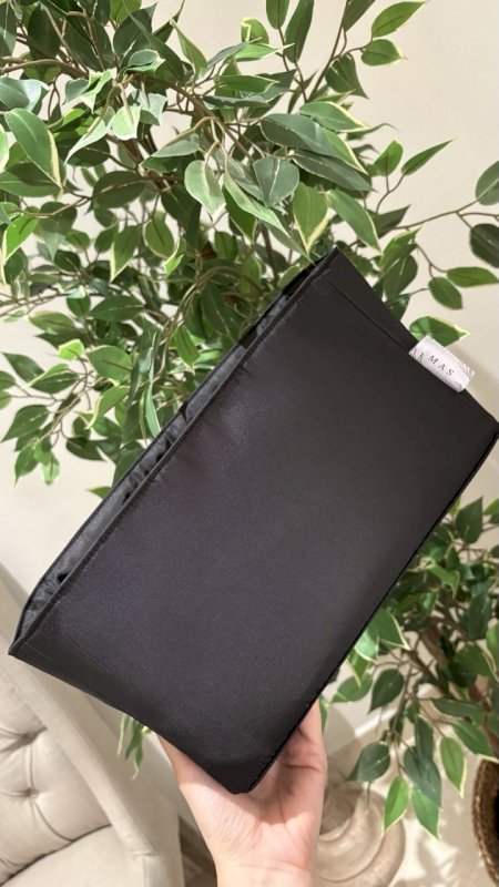 Bag Organizer for (G2 bag)