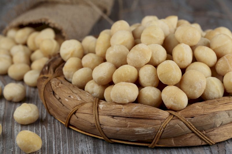 Macadamia Salted Delux