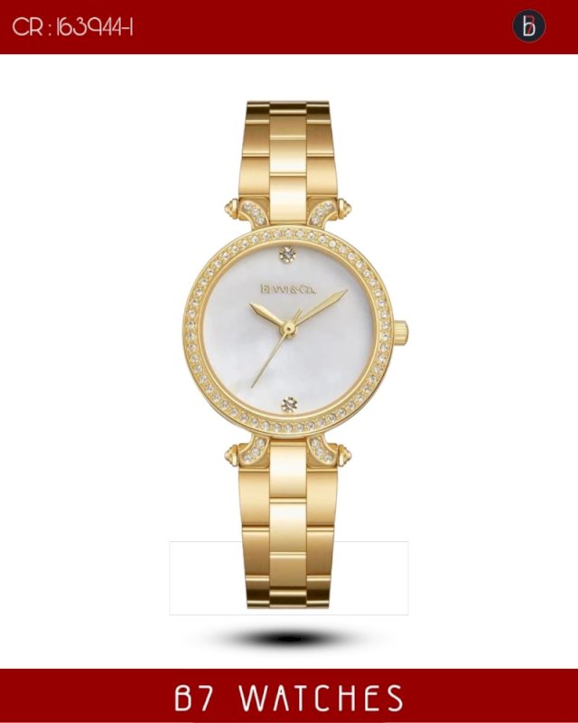 Elvvi watch for ladies