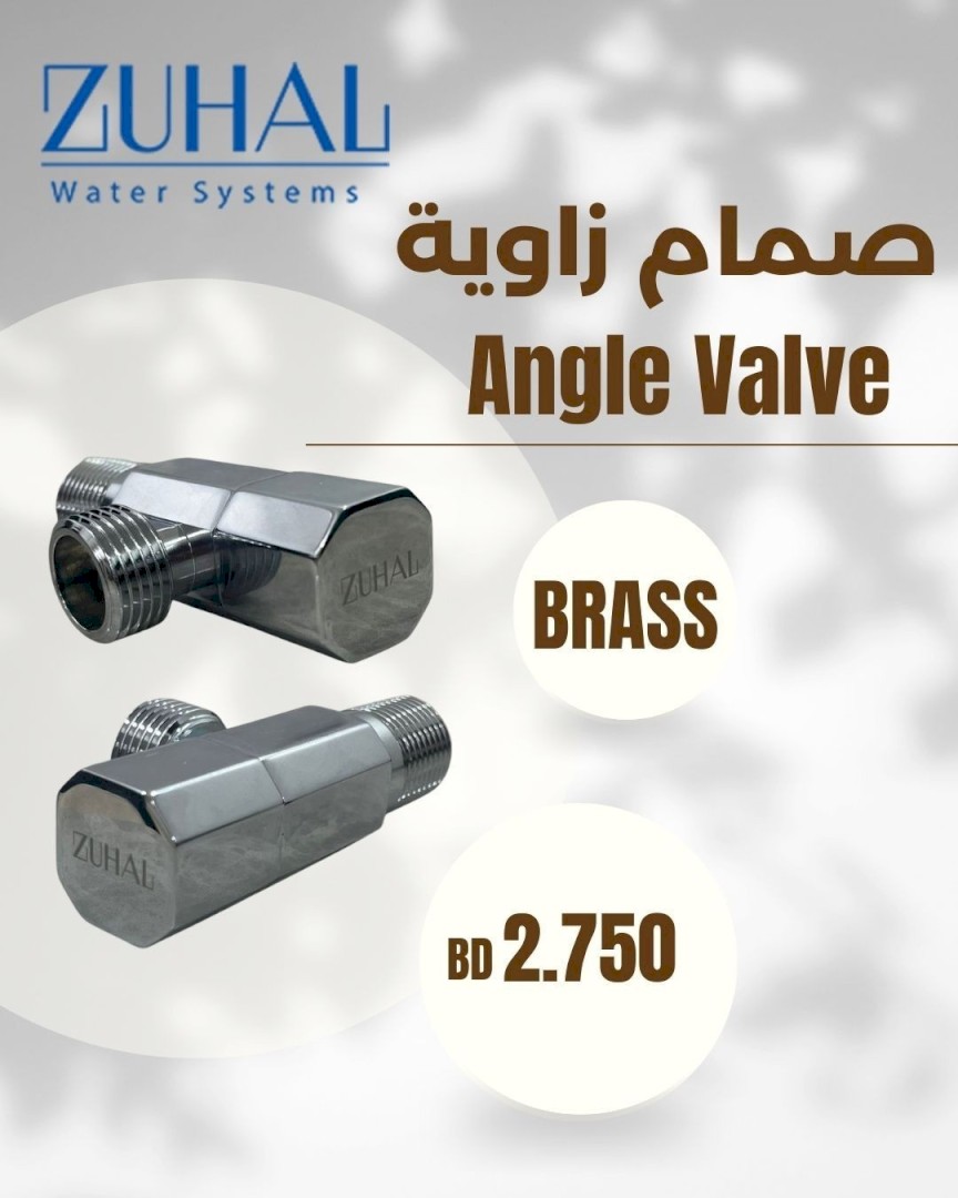 (1)Angle Valve