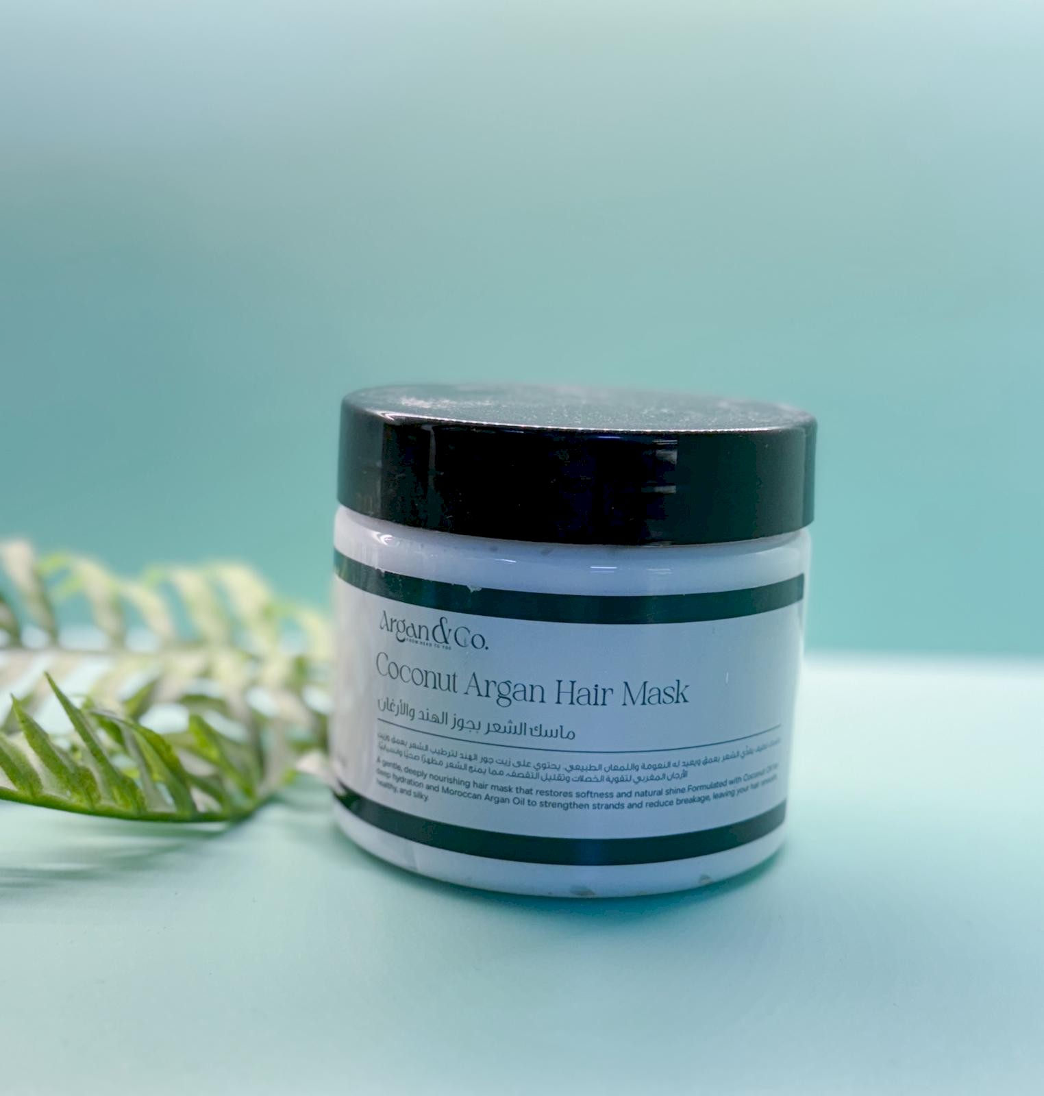 ماسك جوز الهند والارغان للشعر