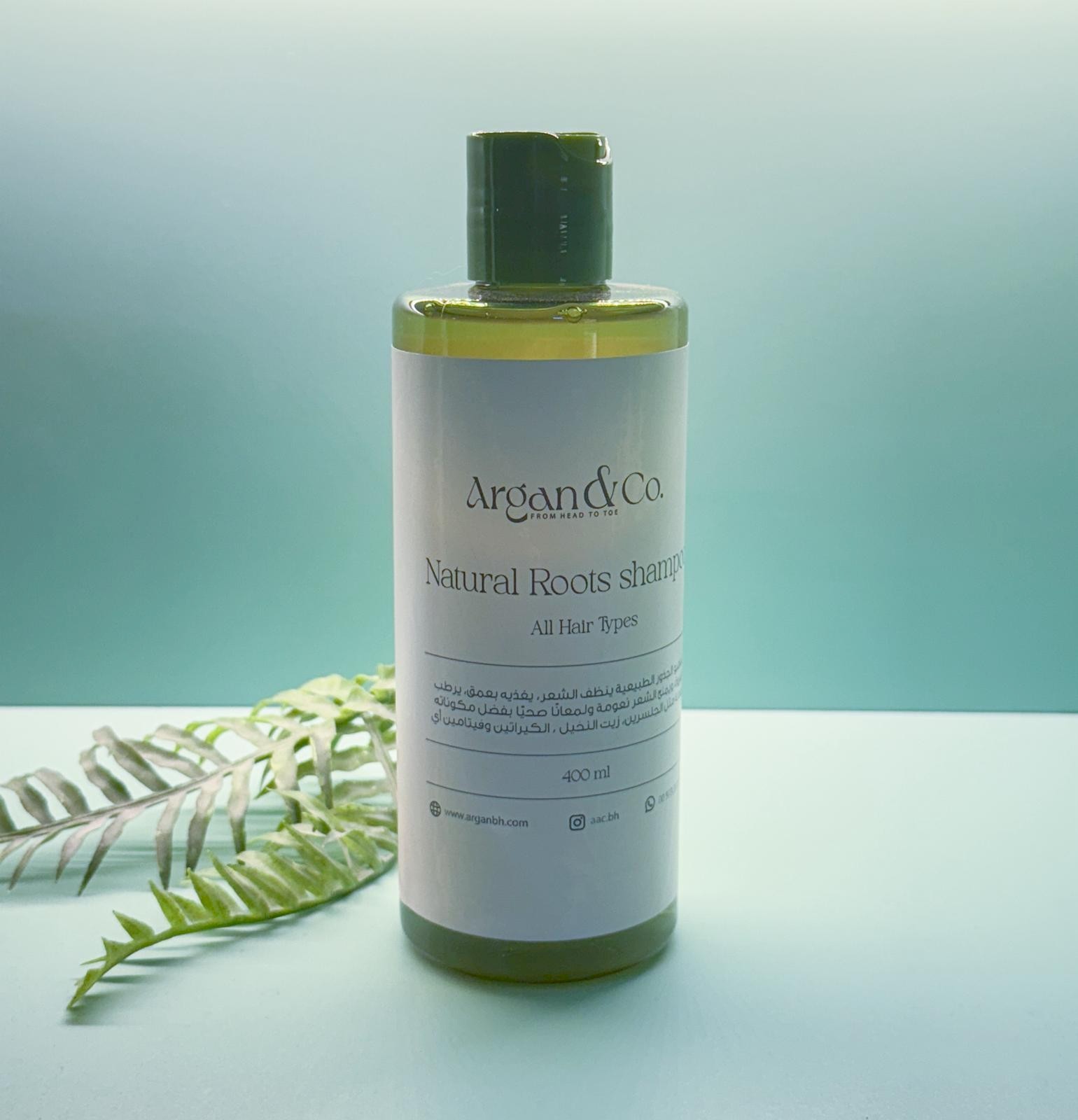 شامبو الجذور الطبيعية