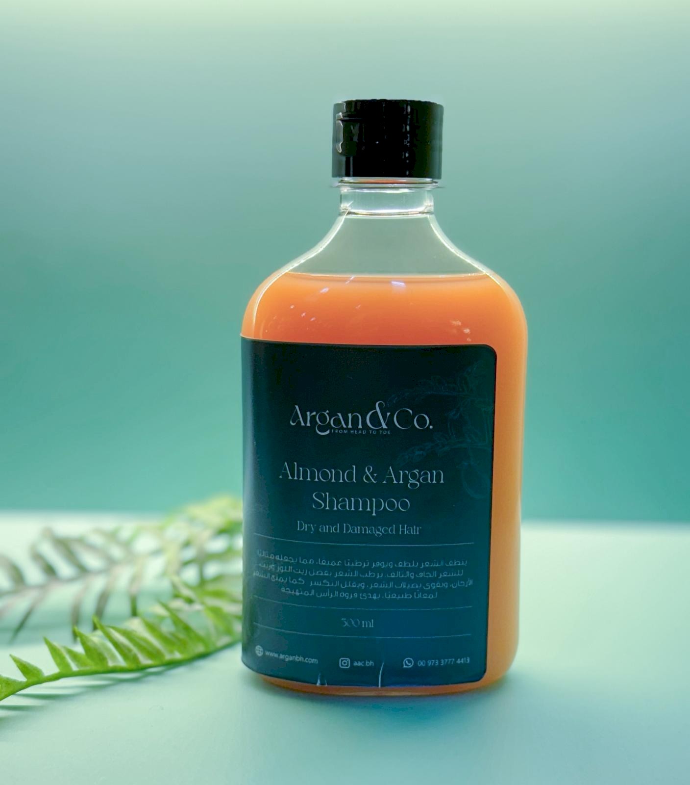 شامبو اللوز