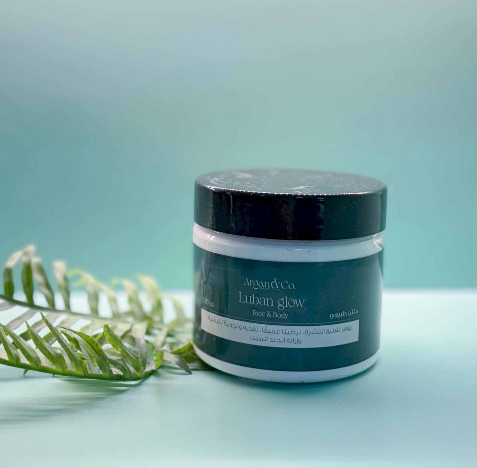 مقشر اللبان المشرق