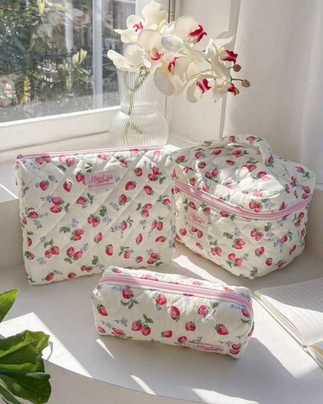 Pouch and pencil case