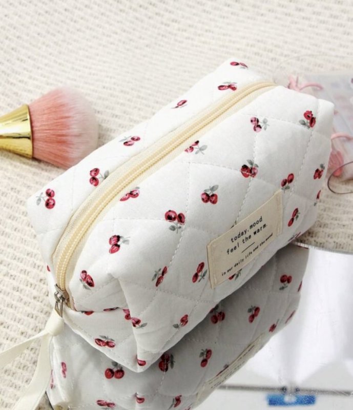 Pouch and pencil case