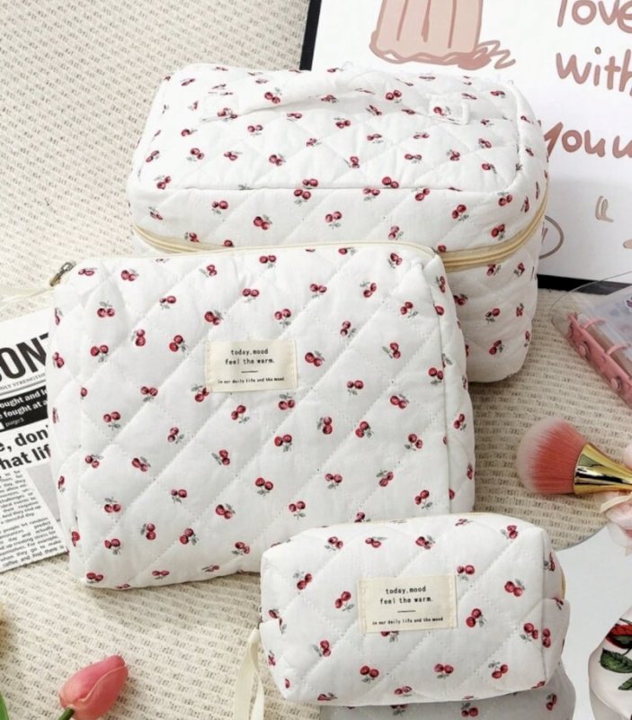 Pouch and pencil case
