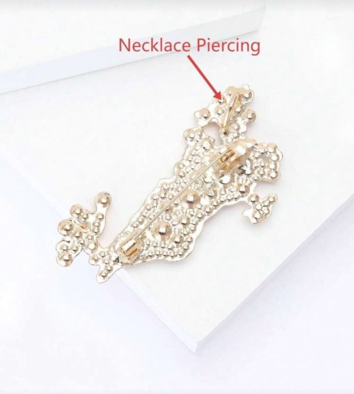 بروش وقلادة الخريطة