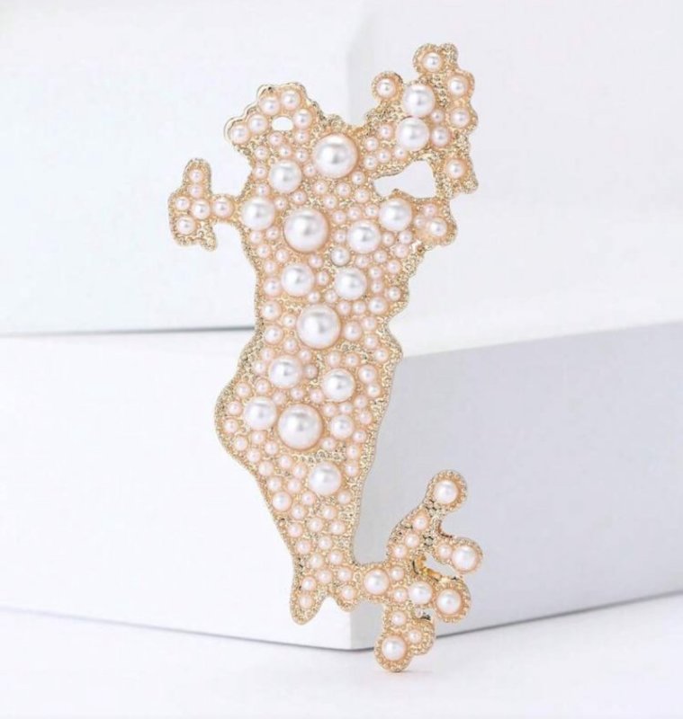 بروش وقلادة الخريطة