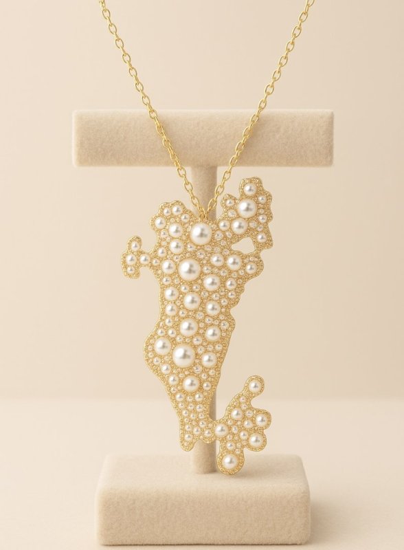 بروش وقلادة الخريطة