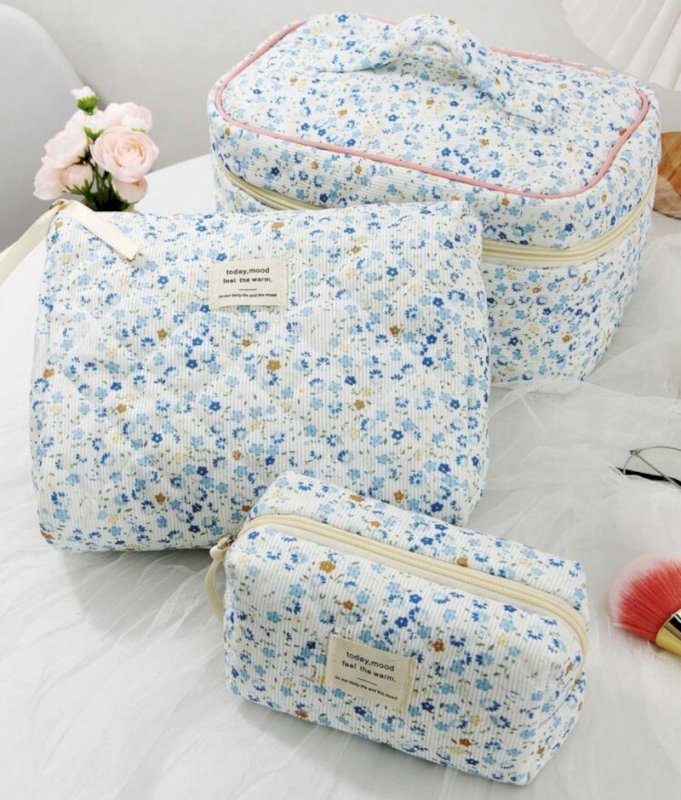 Pouch and pencil case