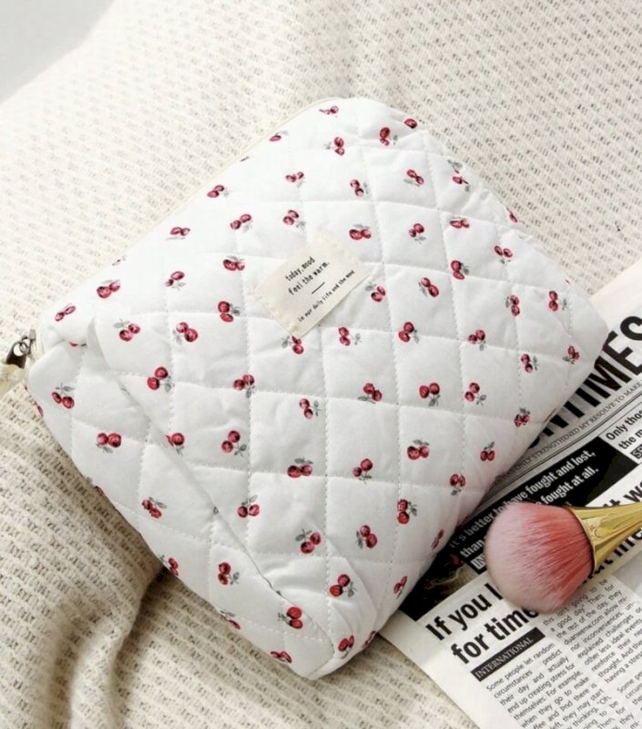 Pouch and pencil case