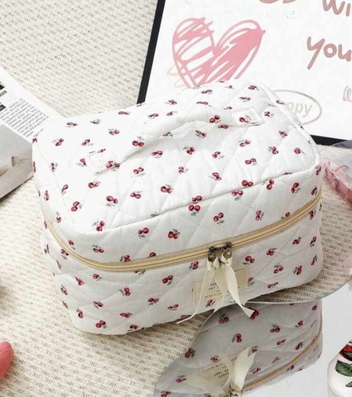 Pouch and pencil case