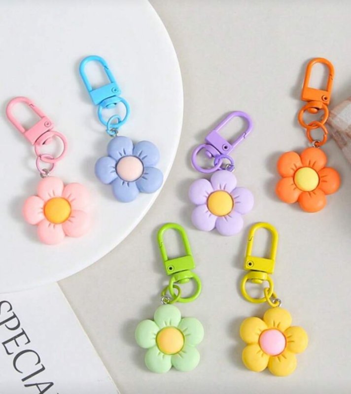 Keychains 6 Pcs