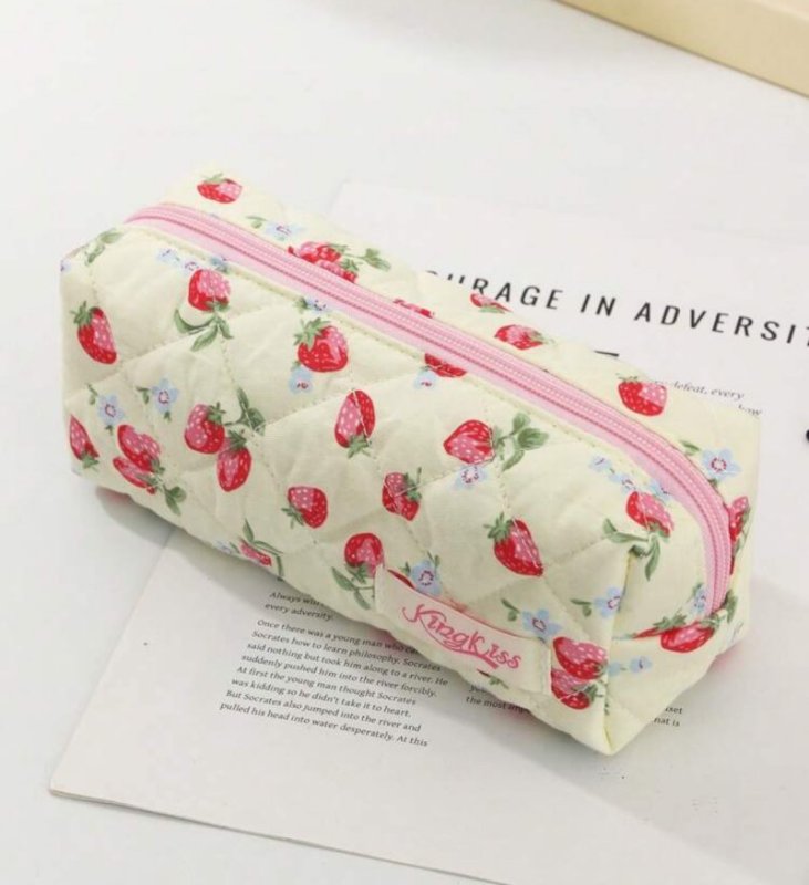 Pouch and pencil case
