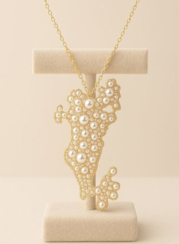 بروش وقلادة الخريطة