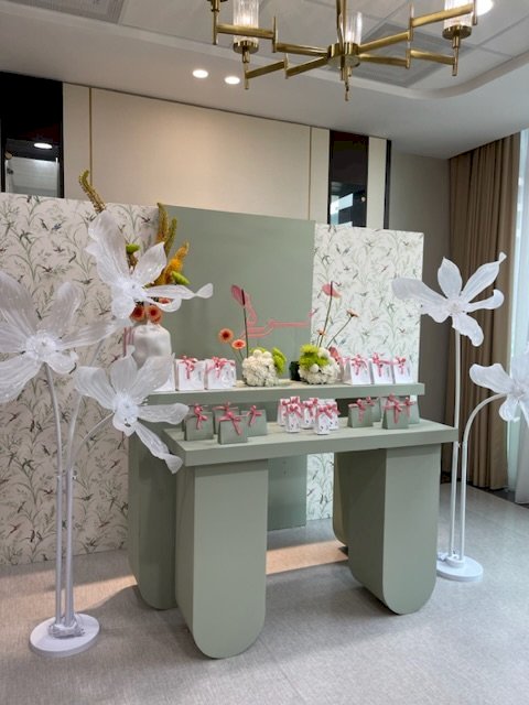 SH2 Package Baby Reception
