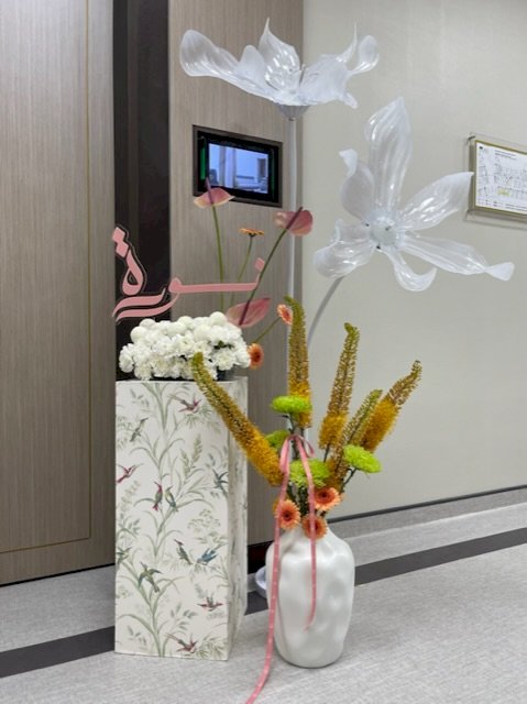 SH2 Package Baby Reception