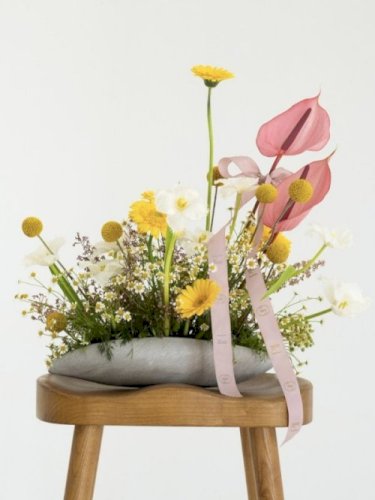 Sunshine Blooms