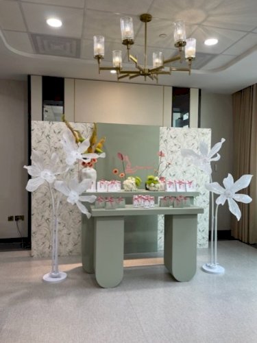 SH2 Package Baby Reception