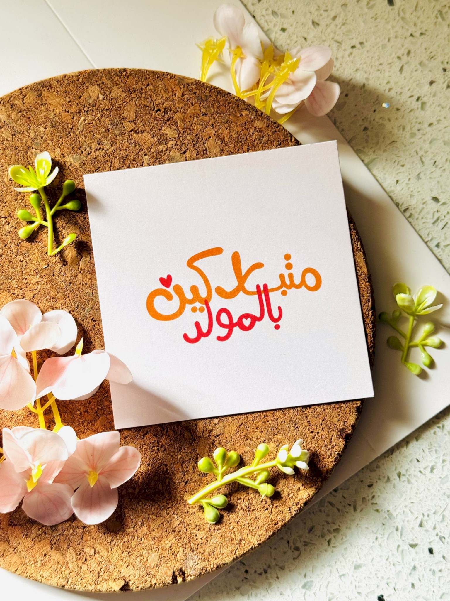 متباركين بالمولد