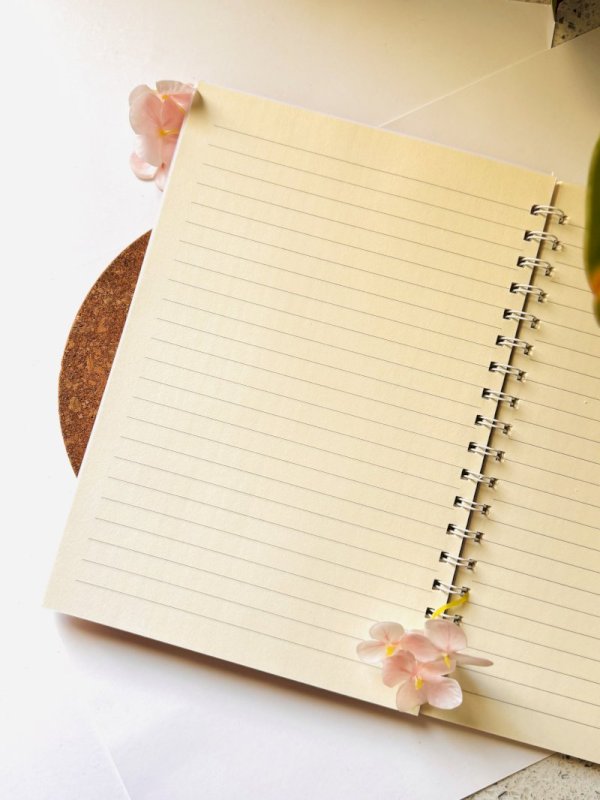 دفتر لن نستسلم للآلم