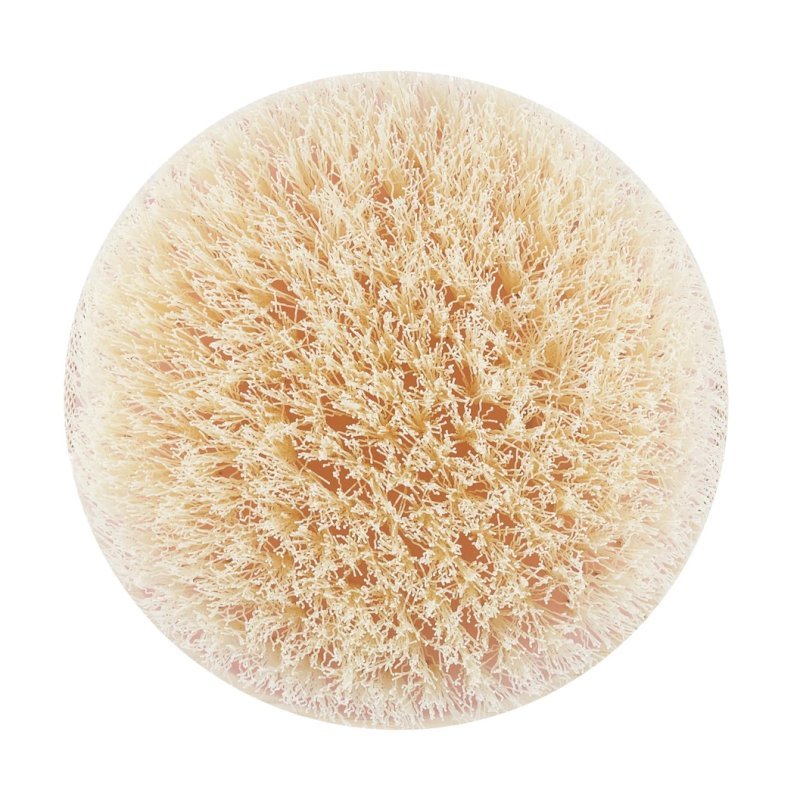 EcoTools Dry Body Brush