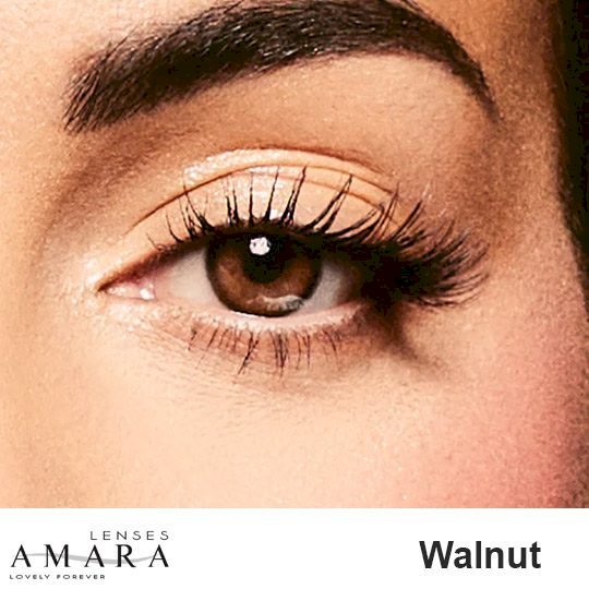 Amara monthly contact lenses walnut