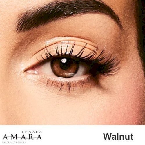 Amara monthly contact lenses walnut