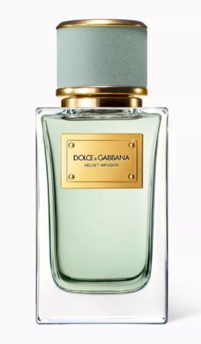 VIP449 عطور مستو حي من velvet infusion dolce&gabbana