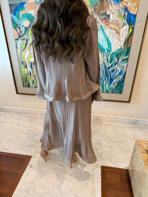 Brown pleats set 5 111