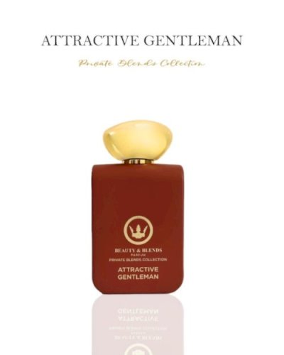ATTRACTIVE GENTLEMAN