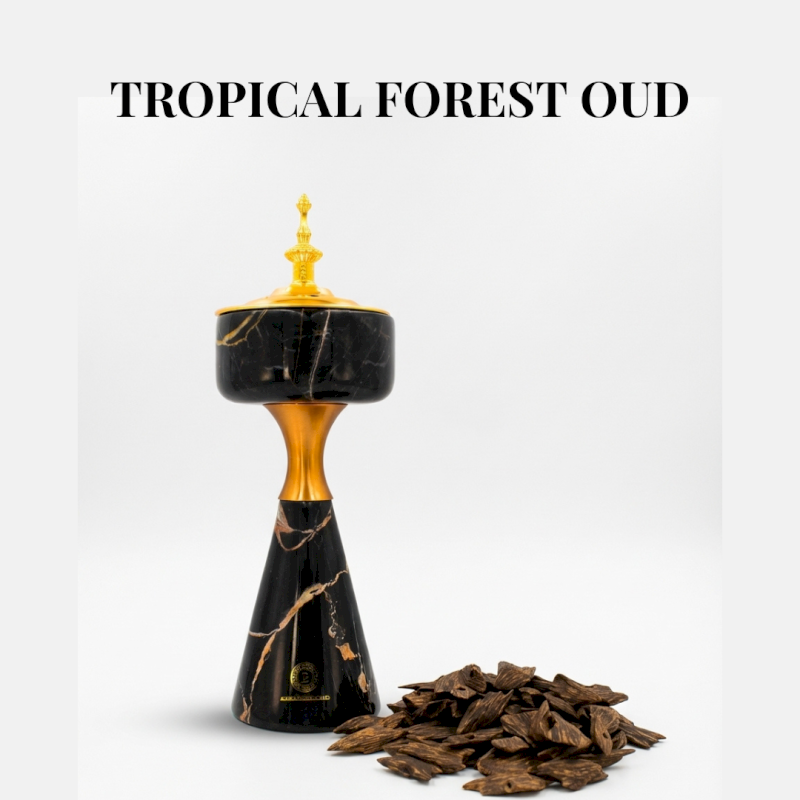 Tropical Forest Oud